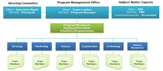 Program Team Organization